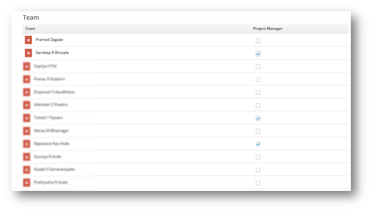 Customised Project Team and Task